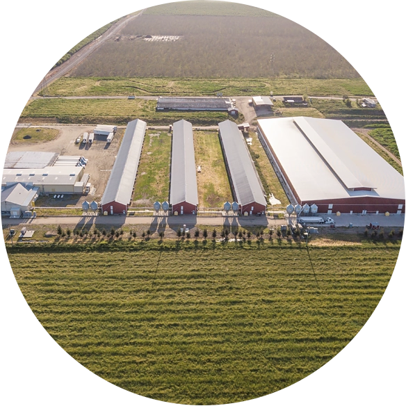 Family Farm from above